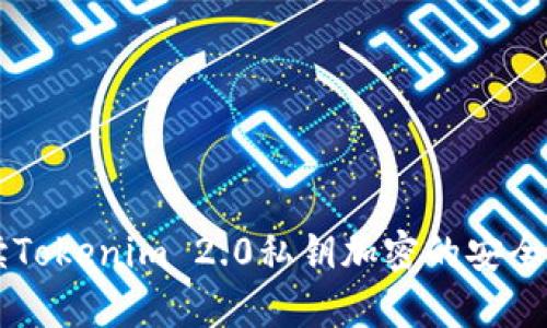 深入解读Tokenim 2.0私钥加密的安全性与应用