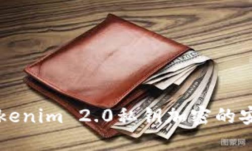 深入解读Tokenim 2.0私钥加密的安全性与应用