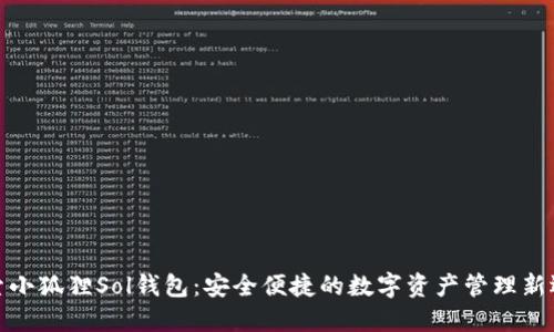 探索小狐狸Sol钱包：安全便捷的数字资产管理新选择