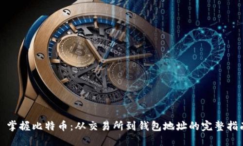: 掌握比特币：从交易所到钱包地址的完整指南