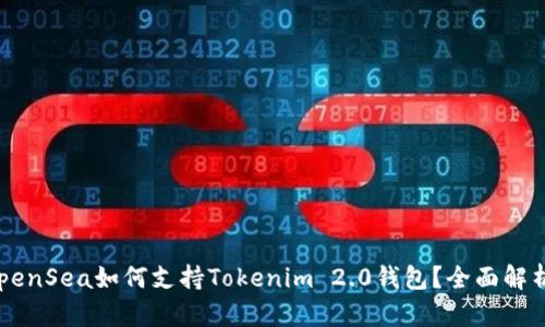 OpenSea如何支持Tokenim 2.0钱包？全面解析！