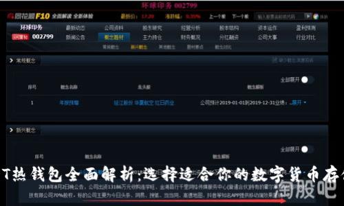 : USDT热钱包全面解析：选择适合你的数字货币存储方式