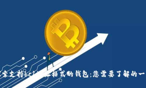 探索支持bc1地址格式的钱包：您需要了解的一切