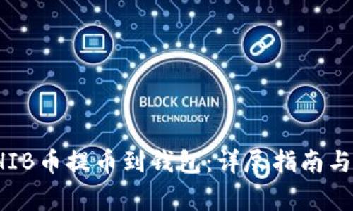 如何将SHIB币提币到钱包：详尽指南与注意事项
