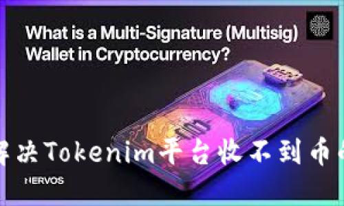 如何解决Tokenim平台收不到币的问题