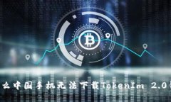 为什么中国手机无法下载