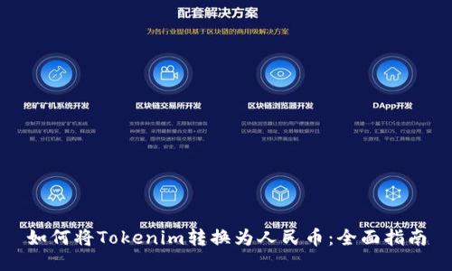 如何将Tokenim转换为人民币：全面指南