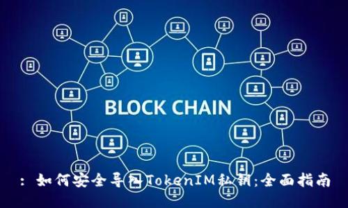 : 如何安全导入TokenIM私钥：全面指南