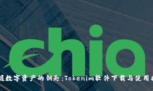 掌握数字资产的钥匙：Tokenim软件下载与使用指南