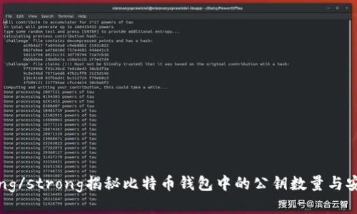 strong/strong揭秘比特币钱包中的公钥数量与安全性