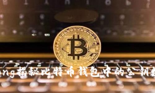 strong/strong揭秘比特币钱包中的公钥数量与安全性