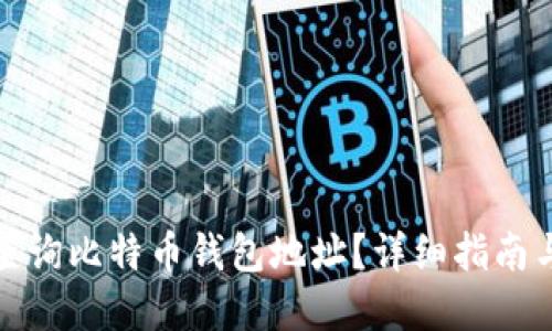 如何高效查询比特币钱包地址？详细指南与实用技巧