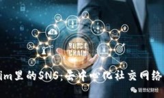Tokenim里的SNS：去中心化社