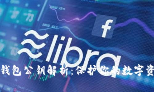 比特币钱包公钥解析：保护你的数字资产安全