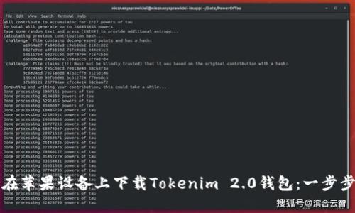 如何在苹果设备上下载Tokenim 2.0钱包：一步步指导