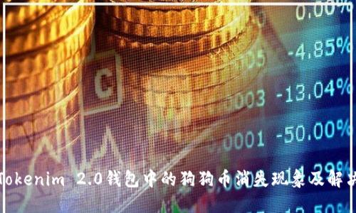 探究Tokenim 2.0钱包中的狗狗币消失现象及解决方案