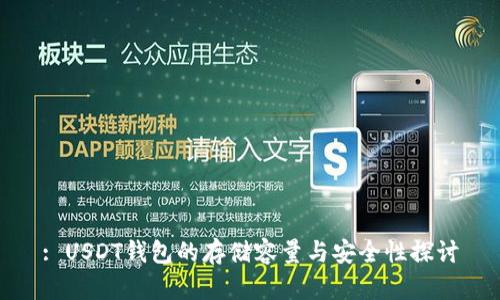 : USDT钱包的存储容量与安全性探讨