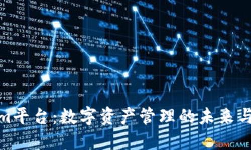 Tokenim平台：数字资产管理的未来与多样性