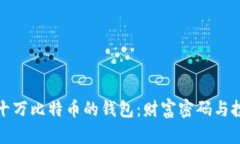 拥有三十万比特币的钱包
