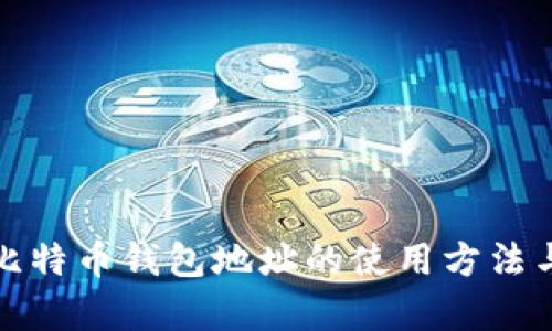 全面解析比特币钱包地址的使用方法与实用技巧