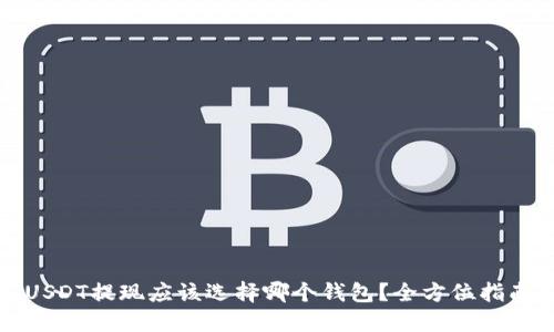 USDT提现应该选择哪个钱包？全方位指南