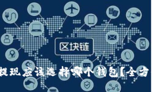 USDT提现应该选择哪个钱包？全方位指南