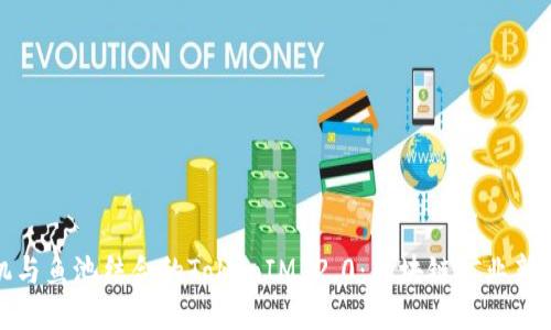 矿机与鱼池结合的TokenIM 2.0：区块链矿业新模式