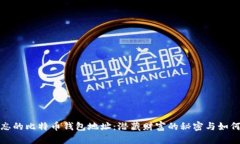被遗忘的比特币钱包地址：潜藏财富的秘密与如