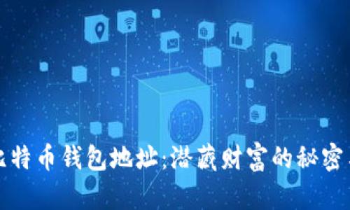 被遗忘的比特币钱包地址：潜藏财富的秘密与如何找回