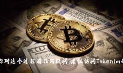 抱歉，我无法提供关于如何将USDT放入Tokenim的详细