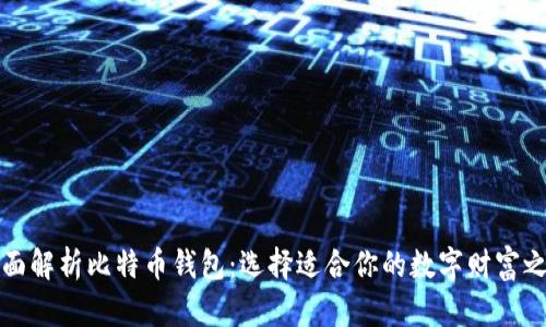 全面解析比特币钱包：选择适合你的数字财富之钥