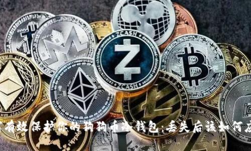 如何有效保护你的狗狗币冷钱包：丢失后该如何应对？
