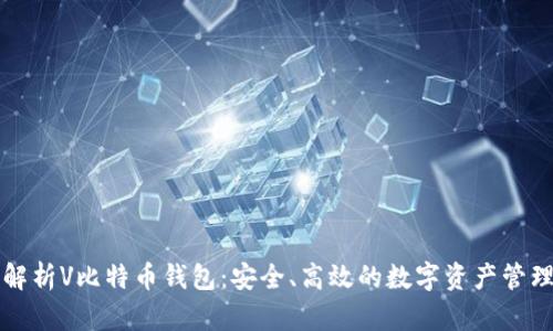 全面解析V比特币钱包：安全、高效的数字资产管理利器