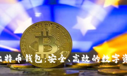 全面解析V比特币钱包：安全、高效的数字资产管理利器