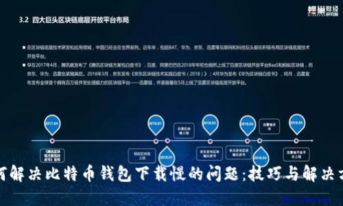 如何解决比特币钱包下载慢的问题：技巧与解决方案