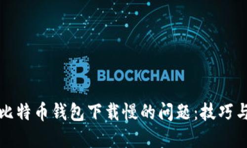 如何解决比特币钱包下载慢的问题：技巧与解决方案