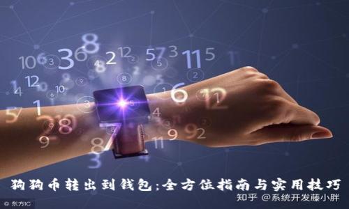 狗狗币转出到钱包：全方位指南与实用技巧