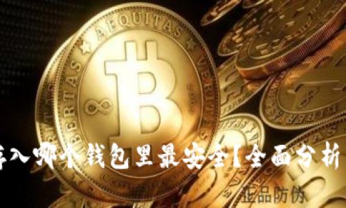 屎币存入哪个钱包里最安全？全面分析与推荐