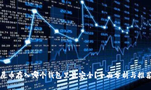 屎币存入哪个钱包里最安全？全面分析与推荐