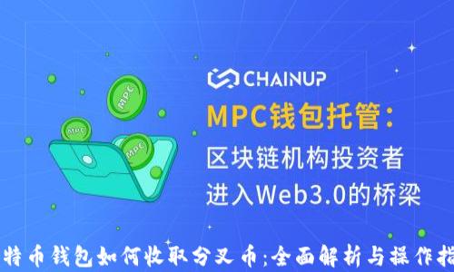 
比特币钱包如何收取分叉币：全面解析与操作指南