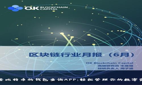 探索比特币的钱包查询APP：轻松管理你的数字资产