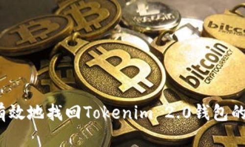 如何有效地找回Tokenim 2.0钱包的私钥？