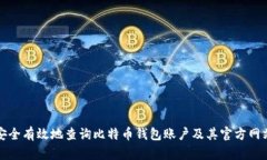如何安全有效地查询比特