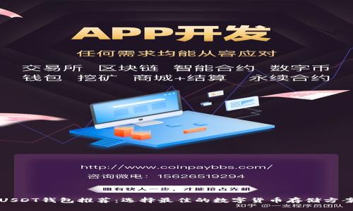 USDT钱包推荐：选择最佳的数字货币存储方案