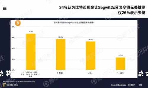 解决狗狗币钱包1.10未到账的常见问题与解决方案