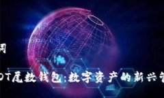 与关键词  揭秘USDT尾数钱
