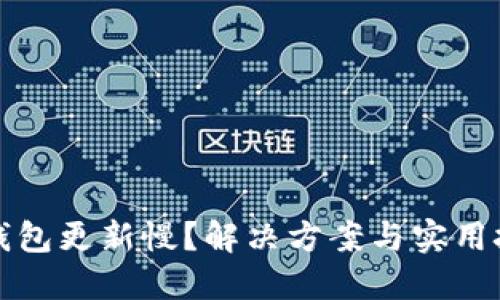比特币钱包更新慢？解决方案与实用技巧揭秘