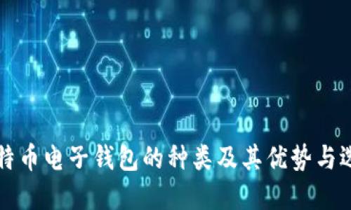 揭秘比特币电子钱包的种类及其优势与选择指南