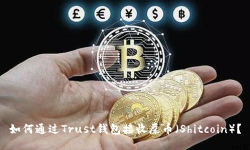 如何通过Trust钱包接收屎币（Shitcoin）？