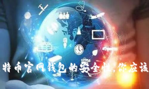 《深入解析比特币官网钱包的安全性，你应该知道的真相》